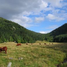 Livradois-Forez