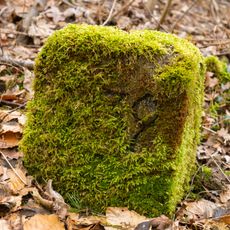 Grenzstein Fürther Stadtwald in Fürth