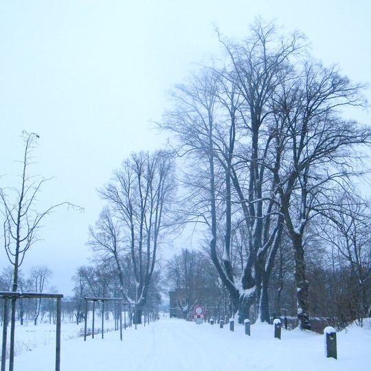 Lipové stromořadí v Lipové