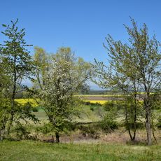 Velká Volavka Volevčice