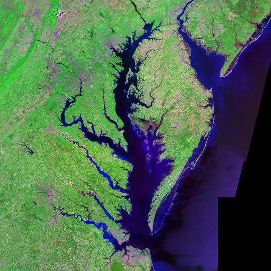 Delaware Bay