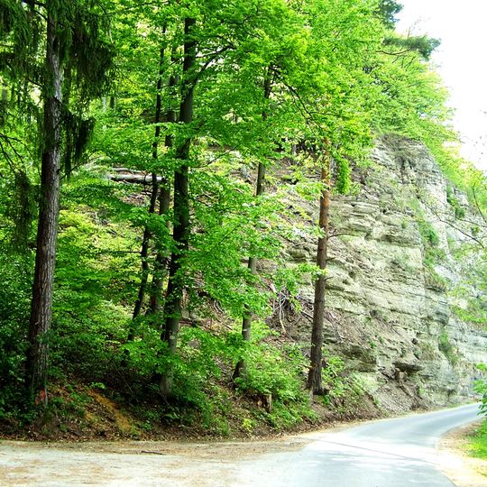 Werrahänge von Frankenroda bis Falken