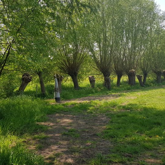 Belgien-Niederlande Grenzstein Nr. 31