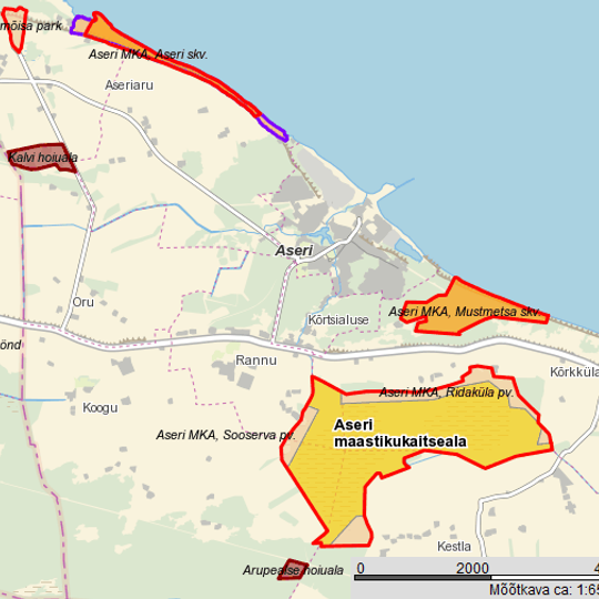 Aseri paekalda paljand