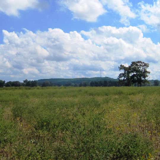 Municipio de Springfield