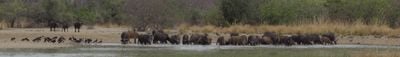 Panoramic View 1