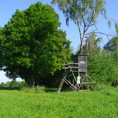 Wachtelberg