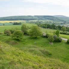 NSG Hecken- und Gruenlandkomplex auf der Sonnenborner Hochflaeche und dem Knappberg