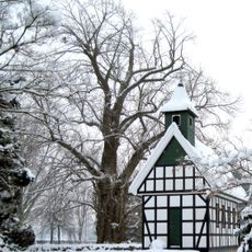 Friedhofslinde in Stemwede-Oppenwehe