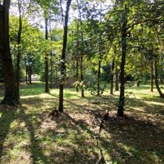 Parco Bosco dei Ronchi e Parco ex-ILA