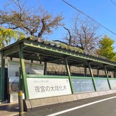 Yomiya no dai keikaboku