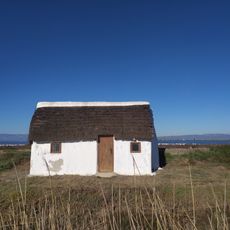 Barraca de l'Eucaliptus