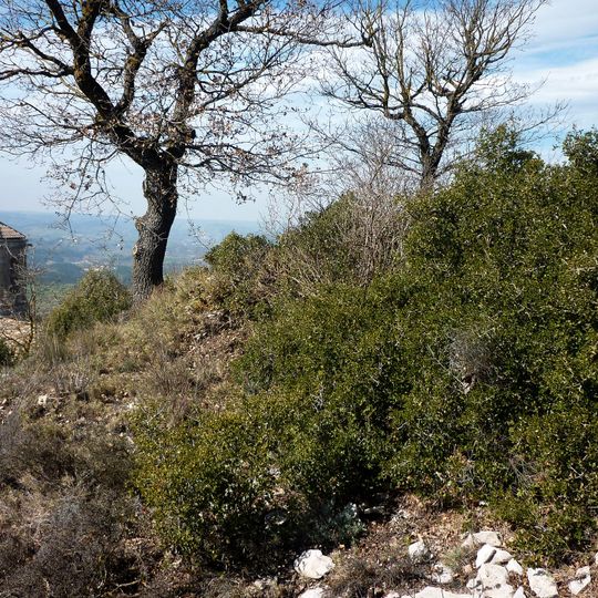 Castillo de La Molsosa