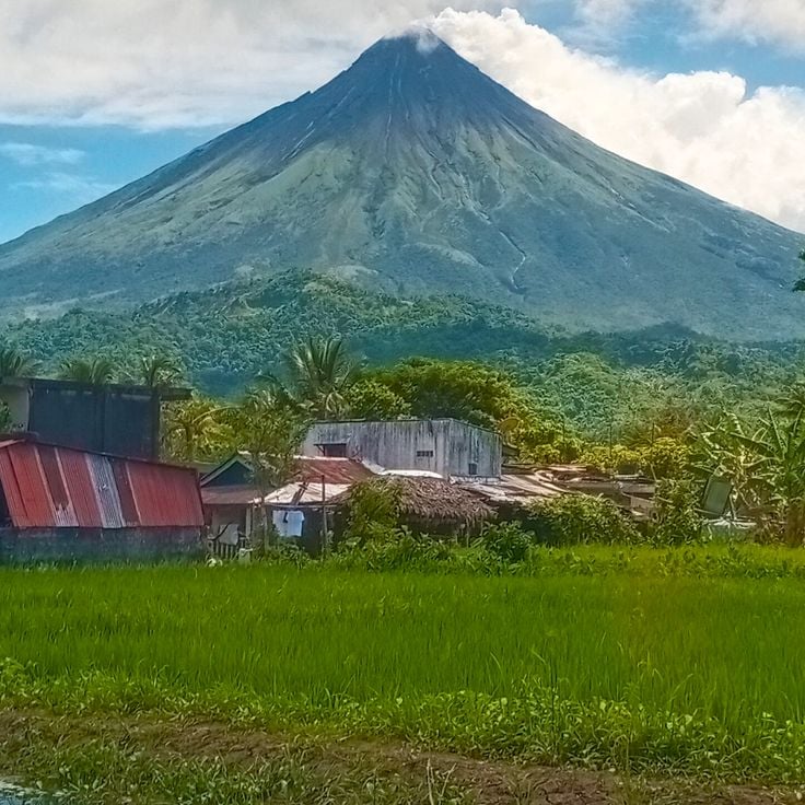 Mayon