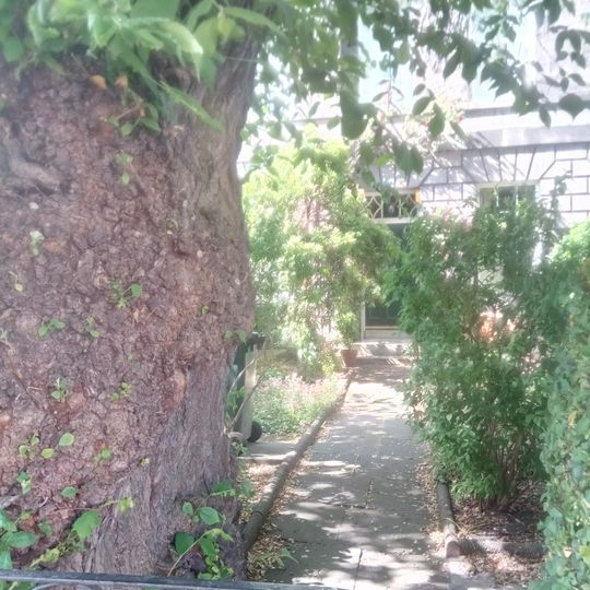 Edinburgh, 15, 16, 17 Comely Bank