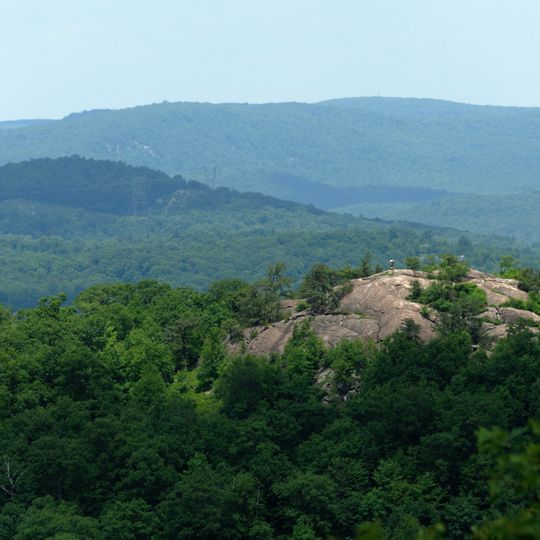 Norvin Green State Forest