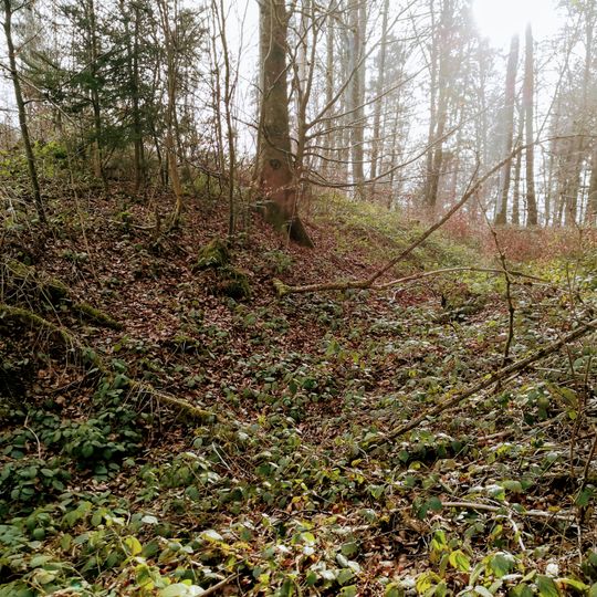Burgstelle Untere Heidenburg