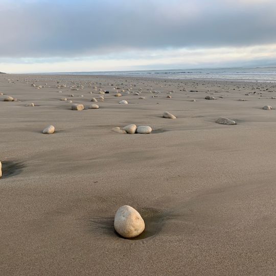Dune domaniale des Gouillauds
