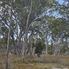 Mary Seymour National Park