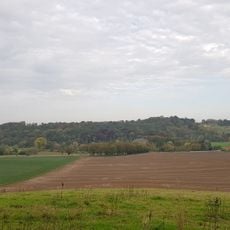 Schaelsbergerbos