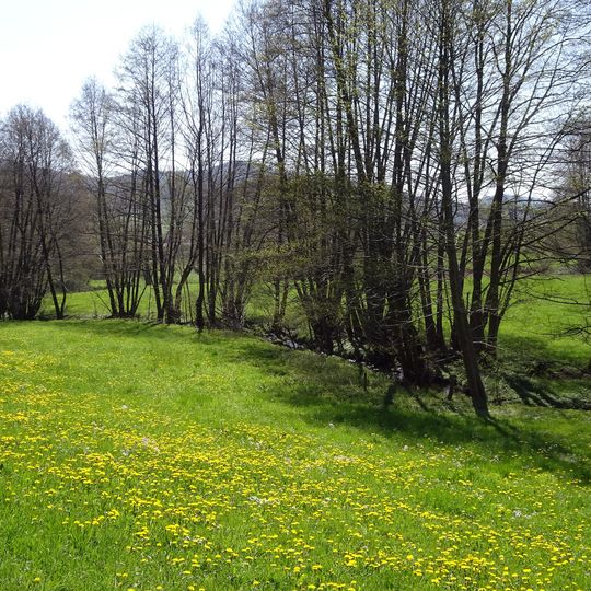 Oberläufe der Gersprenz