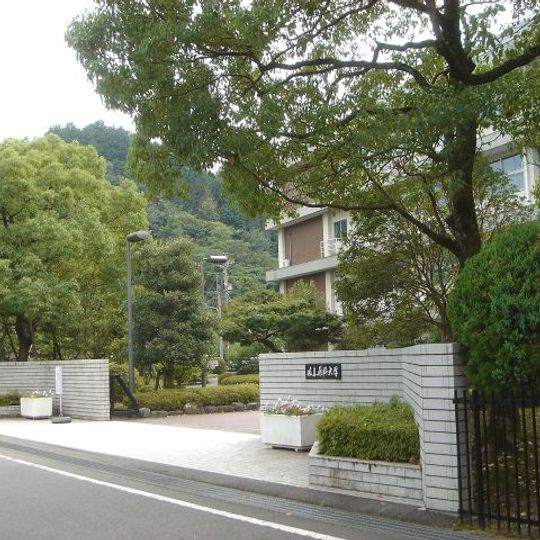 Gifu Pharmaceutical University