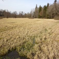 Louky u Černého lesa