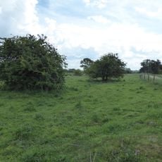 Pashford Poor's Fen, Lakenheath