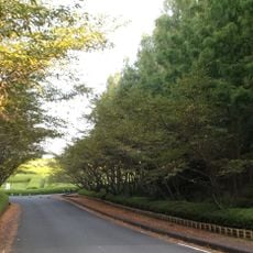 Manno-ike Forest Park