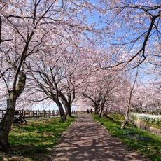 石垣池公園