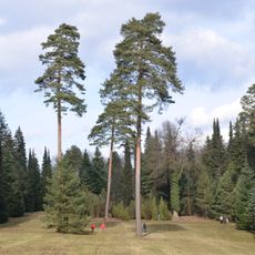Arboretum Řícmanice