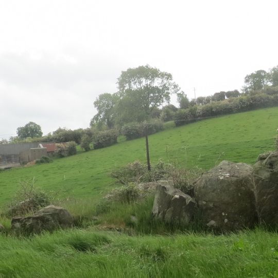 Wedge Tomb von Lisnadarragh