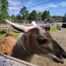 Rybaczówka MiniZOO Wodzisław Śląski - Zawada