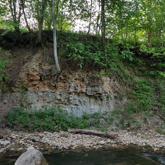 Šķērveļa lejteces dolomīta atsegums