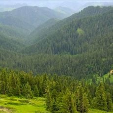 Umpqua National Forest