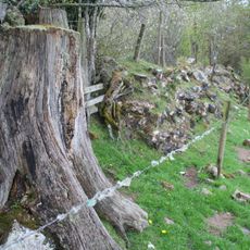 Hadrian's Wall and vallum between Banks Green Cottage and the road to Lanercost at Banks and the road to Garthside in wall miles 52, 53 and 54