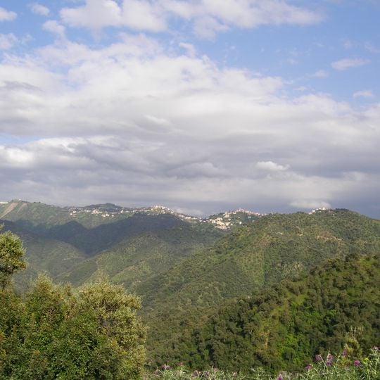 Distretto di Larbaâ Nath Irathen