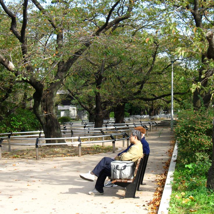 Parc de Chidorigafuchi