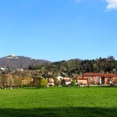 Riserva naturale speciale Meisino e Isolone di Bertolla