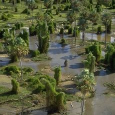 Parque Nacional Río Pilcomayo