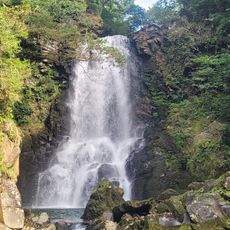 Naso no Shirataki