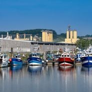 Port of Le Tréport
