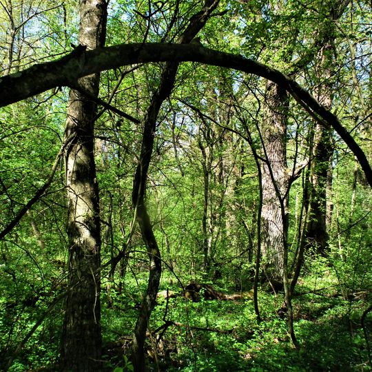 Nature reserve Stawiska