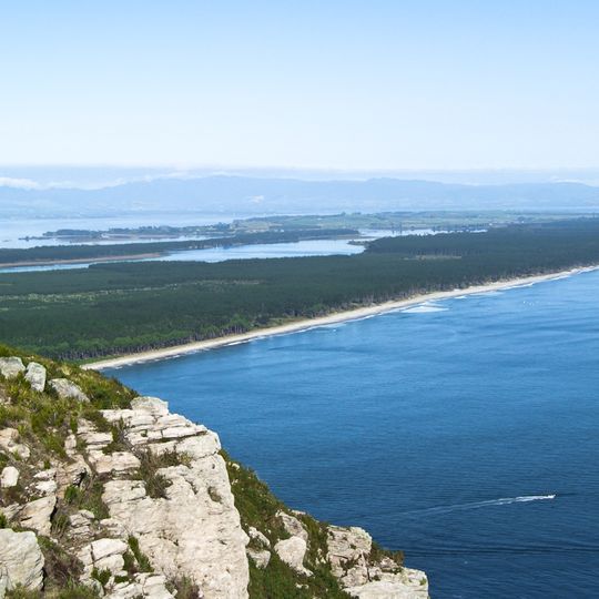 Matakana Island