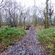 Poulton Wood