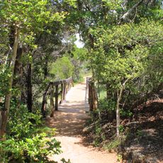 Wild Basin Wilderness Park