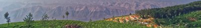 Panoramic View 1