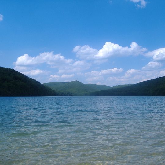 Michaux State Forest