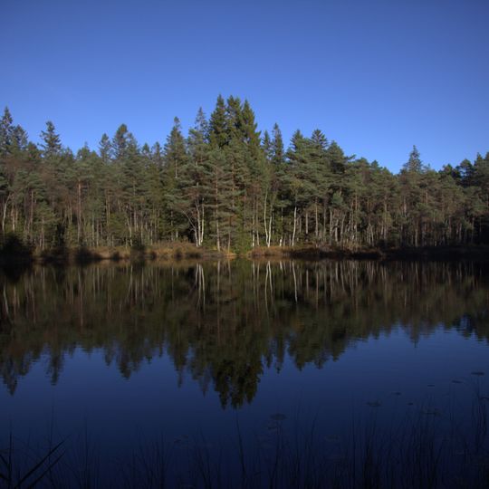 Svartedalens natur- och friluftsområde