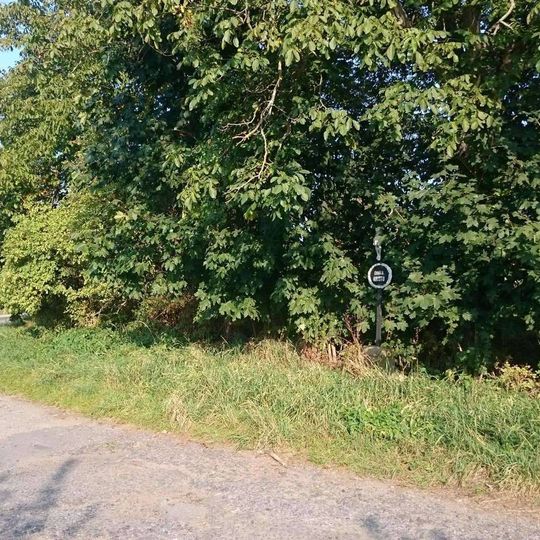 Kříž západně od Choustníku u rozcestí